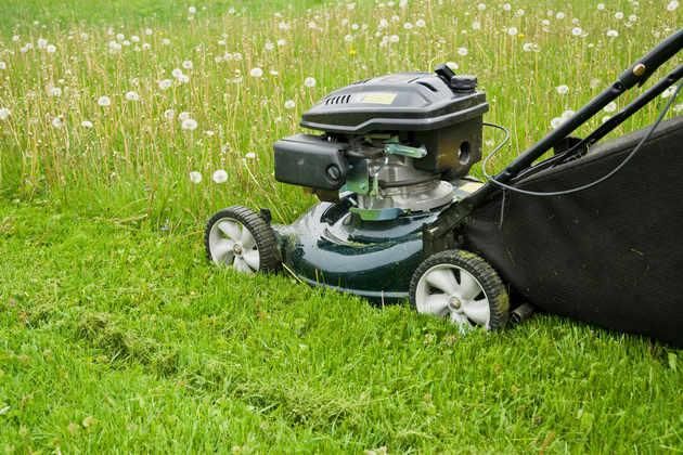 Lawn Care Service